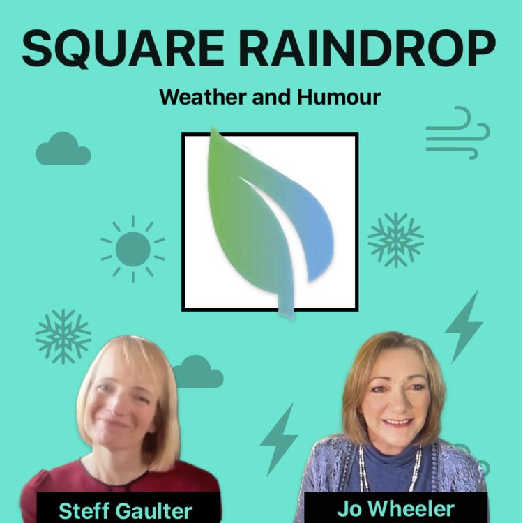 cover art for Robot Lawnmowers and a bit of Sunshine