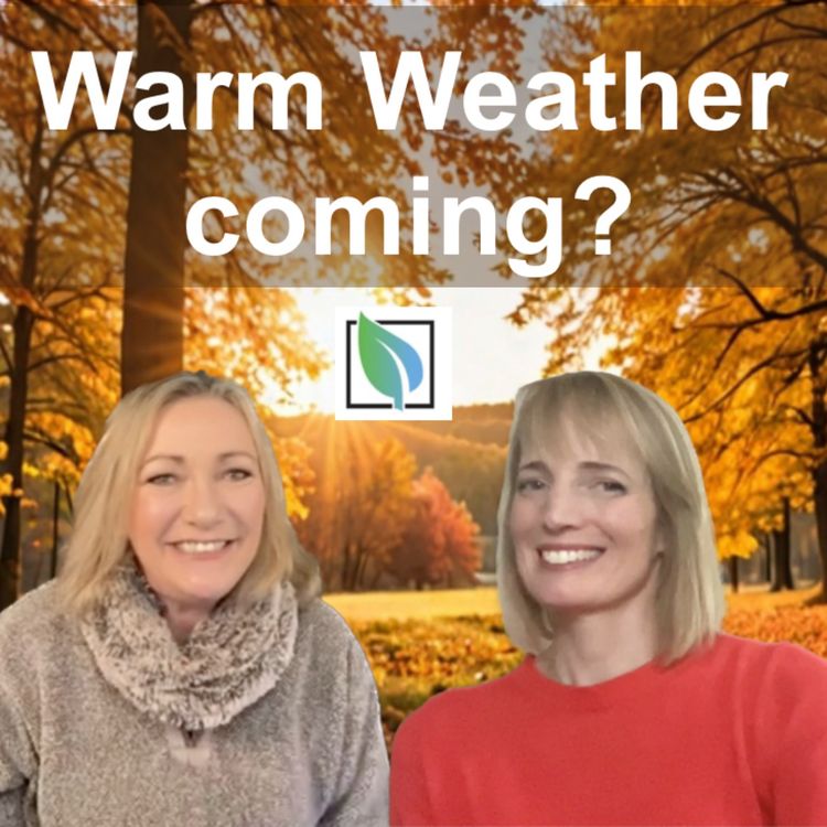 cover art for Are you ready for an Indian Summer?