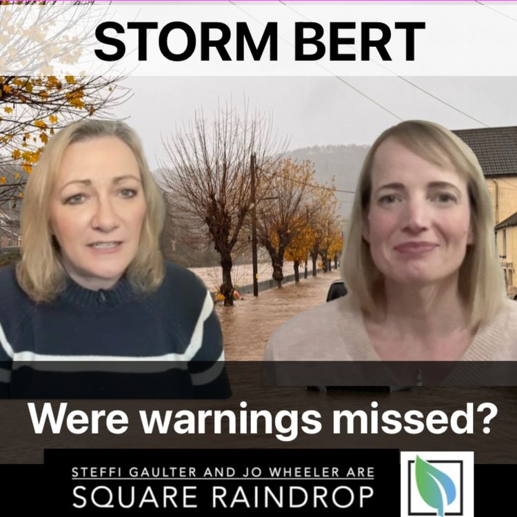 cover art for Storm Bert: Where were the warnings?