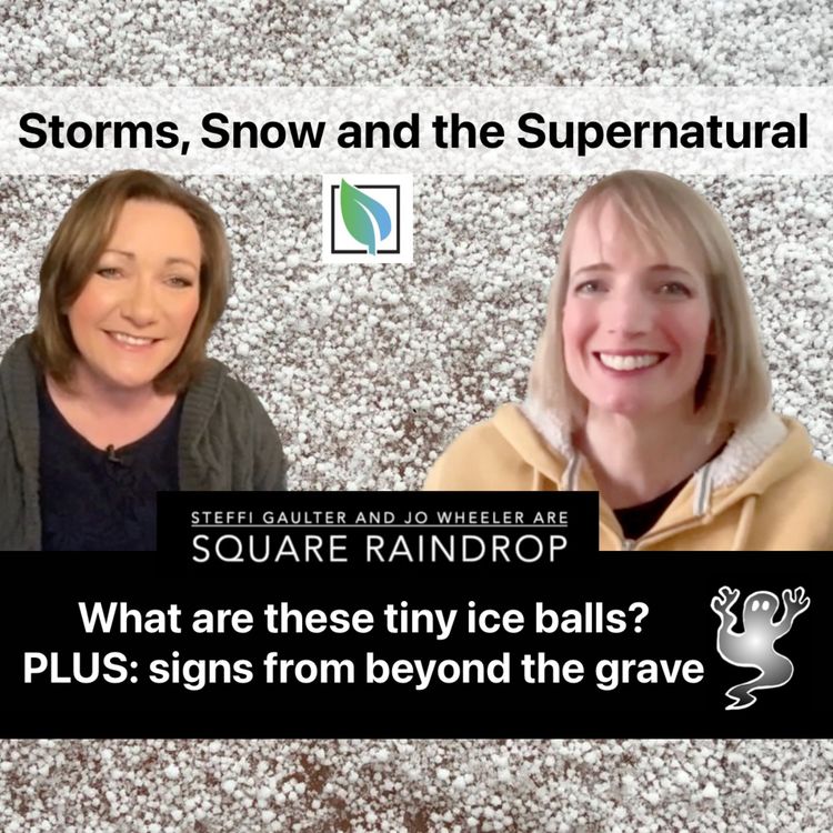 cover art for Storms, Snow and the Supernatural