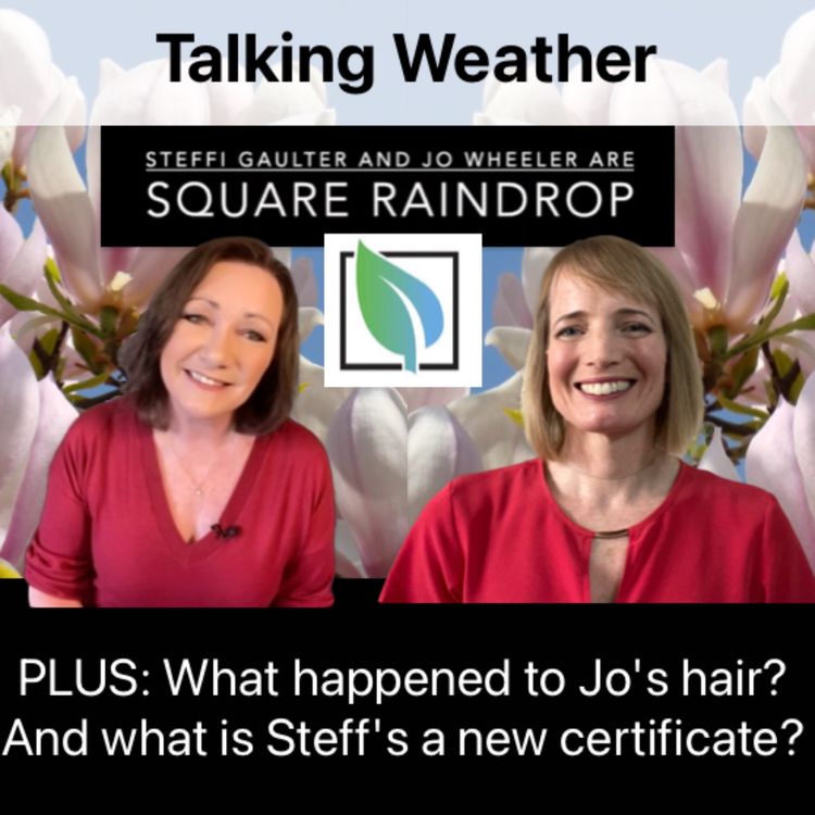 cover art for Weather, Duolingo and the SSW