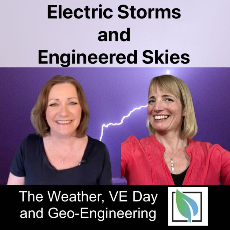 cover art for Electric Storms and Engineered Skies