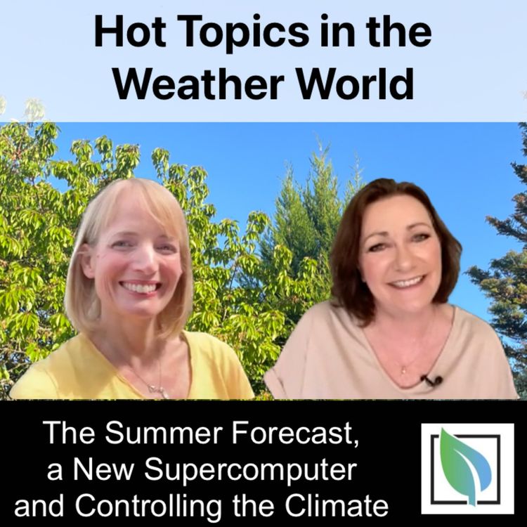 cover art for Hot Topics in the Weather World