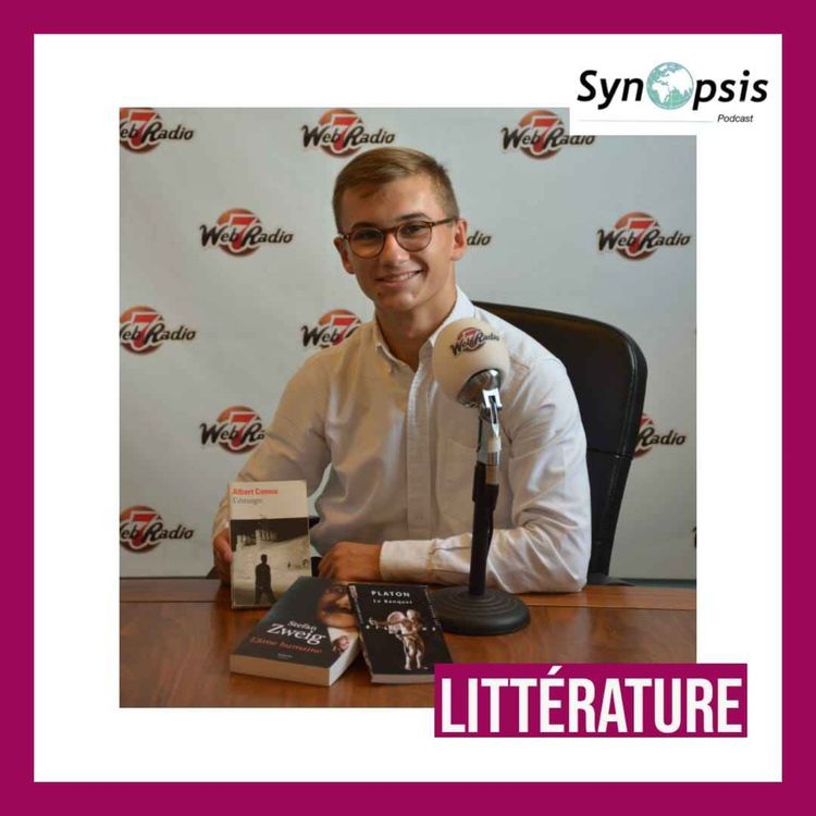 cover art for Romain Gary : la passion de la féminité