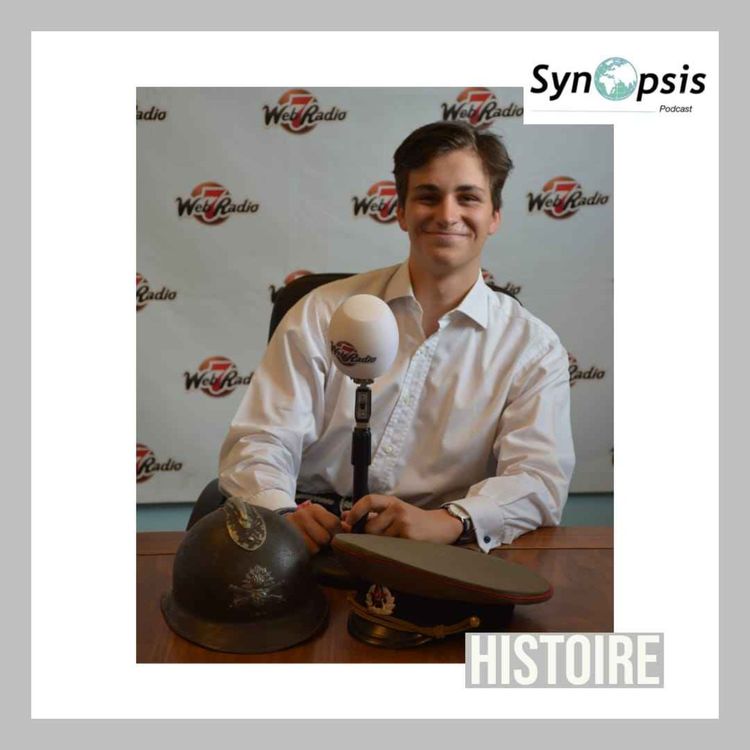 cover art for Référendum : une ambiguité française ?