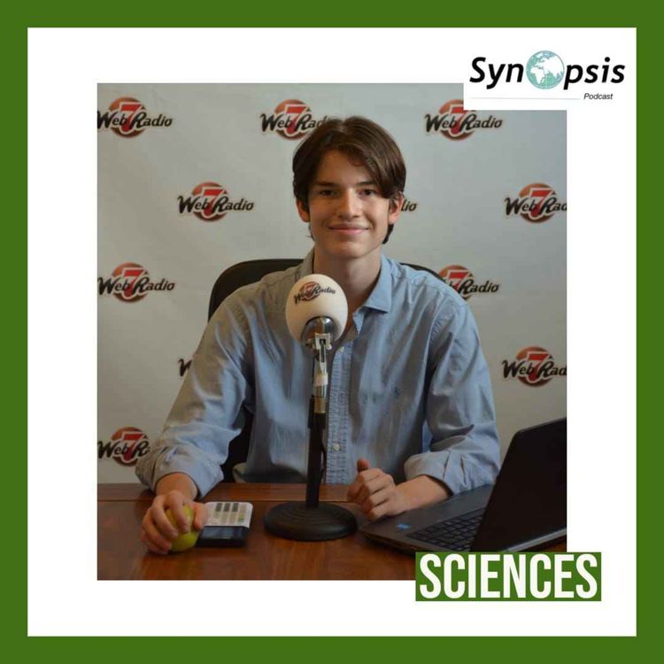 cover art for Les nombres premiers : à la base de la cryptographie