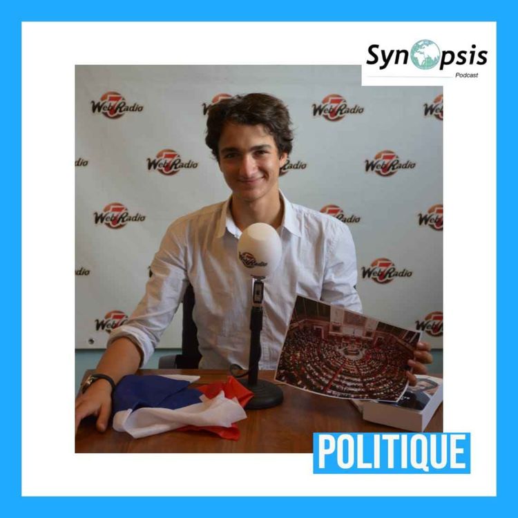 cover art for Politique et violence : une histoire d’amour toxique