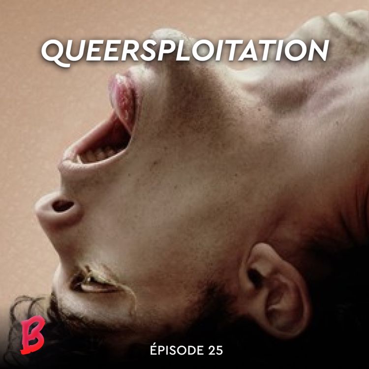 cover art for Queersploitation