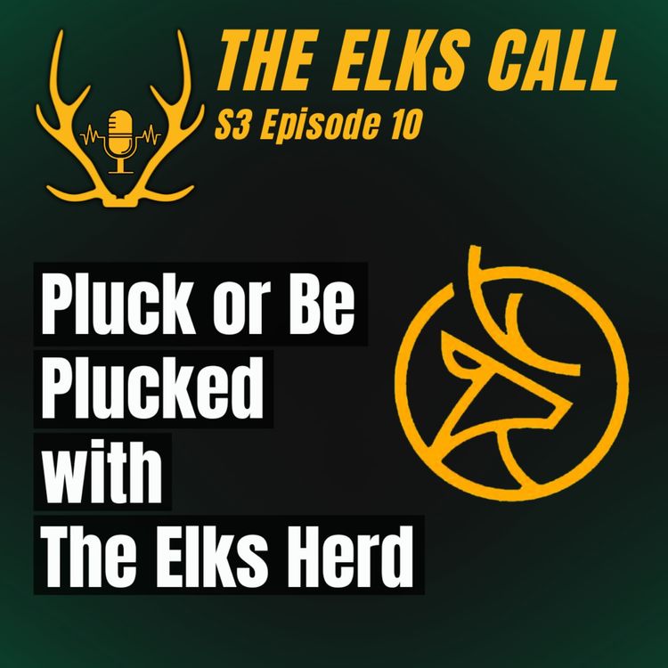 cover art for The Elks Call S3Ep10 - Pluck or Be Plucked with The Elks Herd