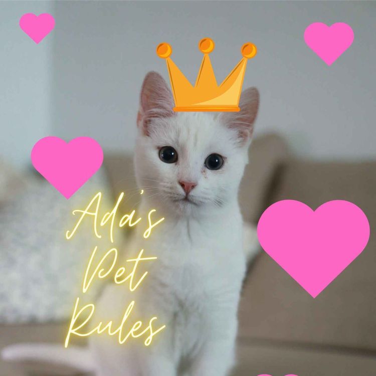 cover art for Ada's Kitty Rules
