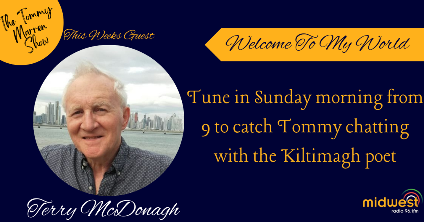 cover art for Welcome To My World - Terry McDonagh