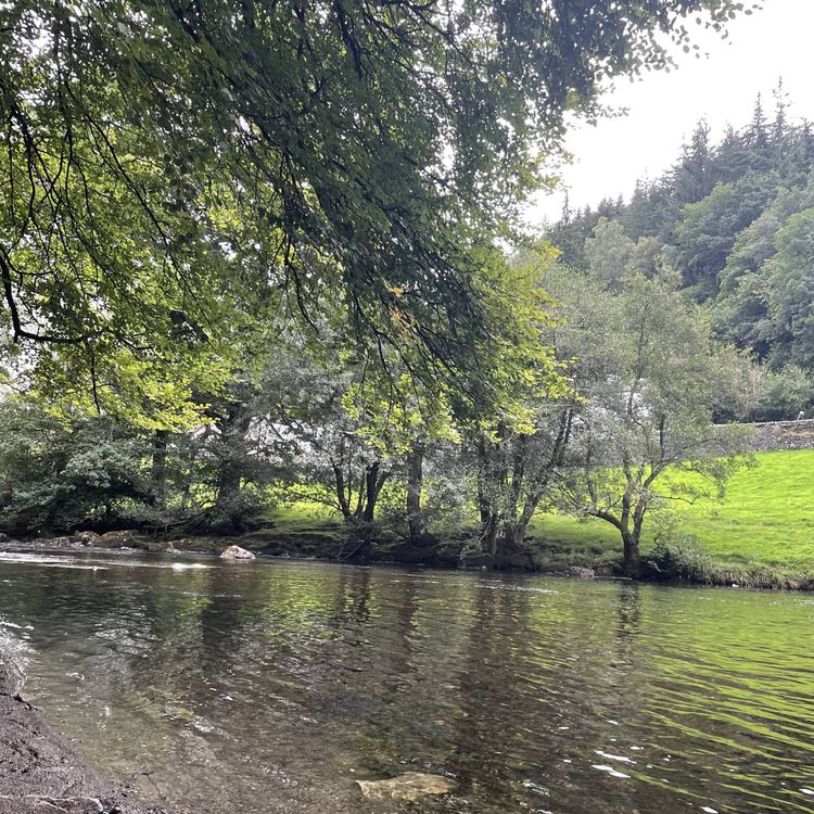 cover art for “streamside harmony” - flowing relaxing river sounds and harmonious 432Hz tunes