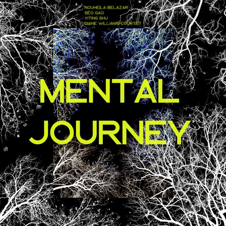 cover art for Mental Journey