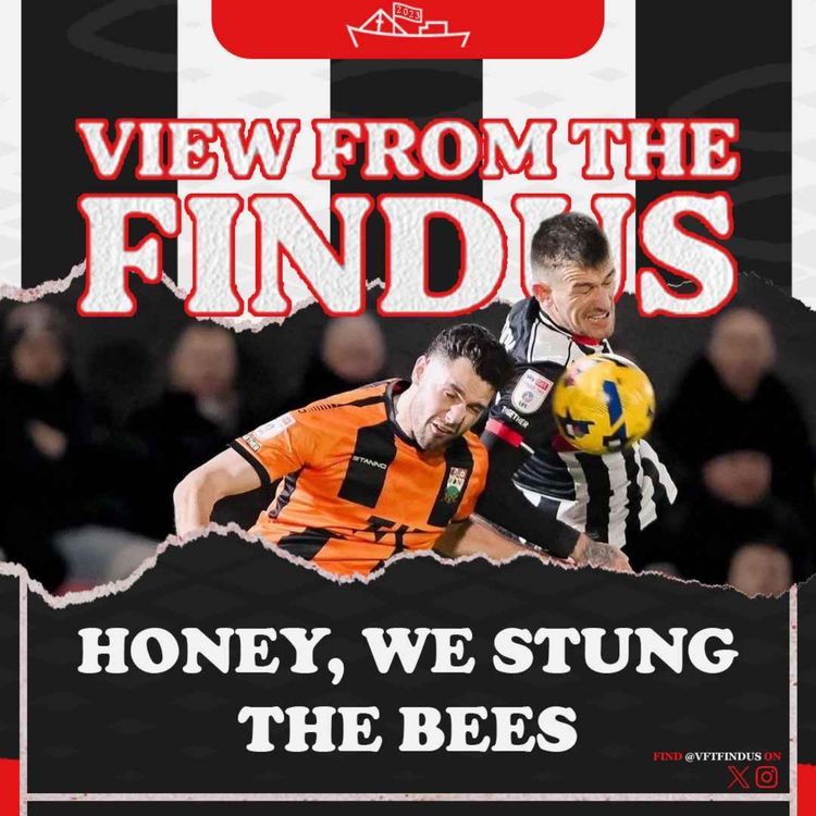 cover art for Honey, We Stung The Bees