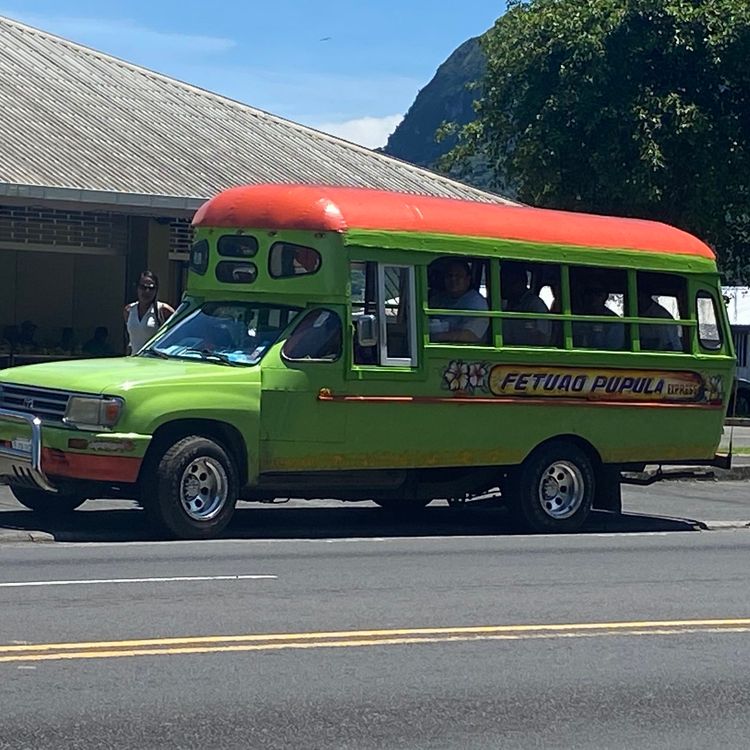 cover art for Turkeytail och paddor.