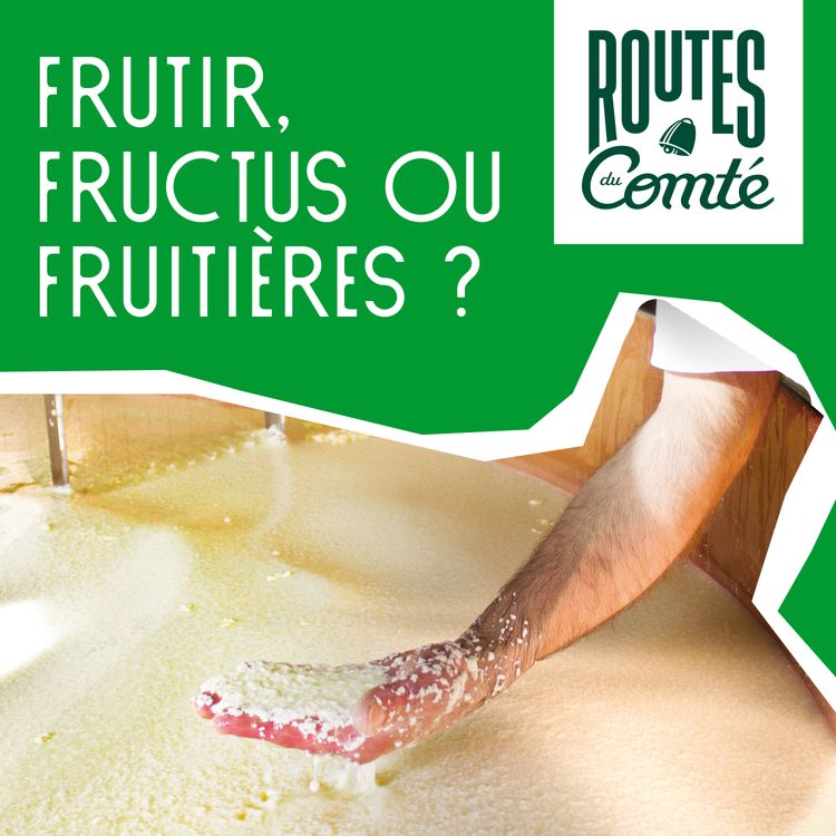 cover art for Épisode 3 : Frutir, fructus ou fruitière