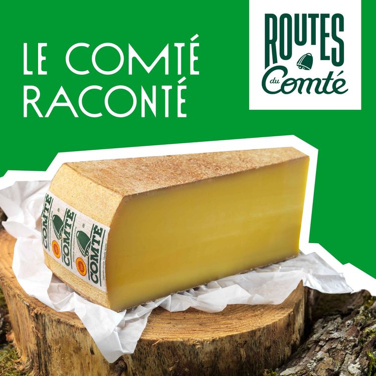 cover art for Épisode 1 : Le Comté raconté