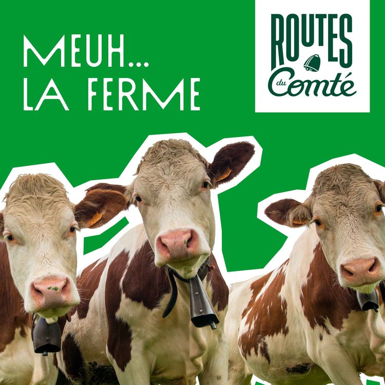 cover art for Épisode 2 : Meuh… la ferme