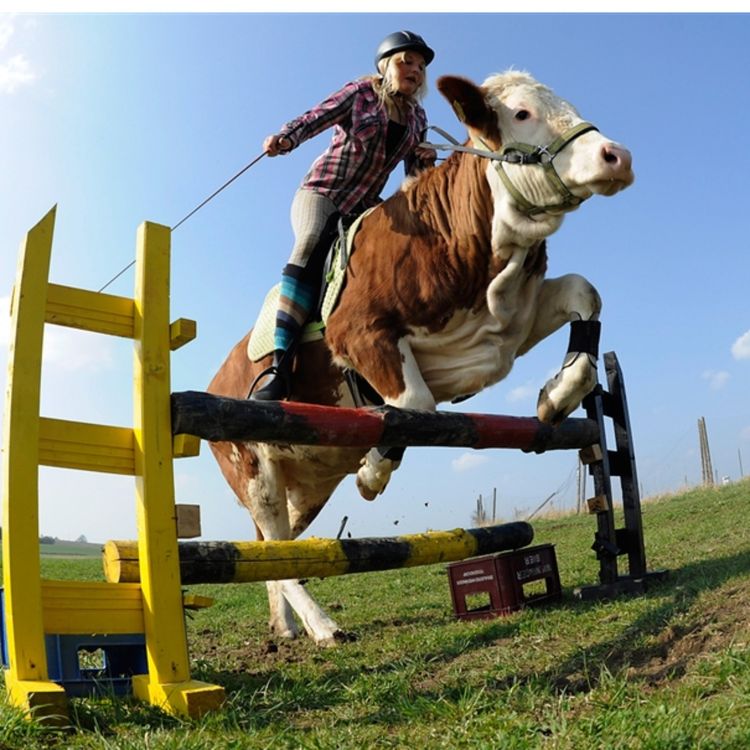 cover art for Chapter 11: The Lord Blesses His Favourites with Loneliness