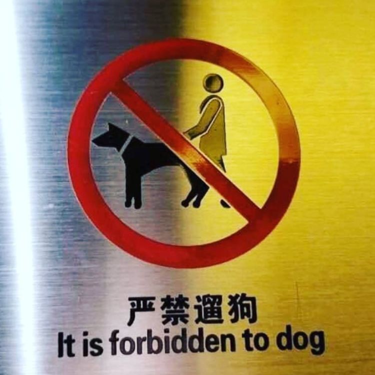 cover art for Chapter 12: I Damn Thee to the Hell of Running