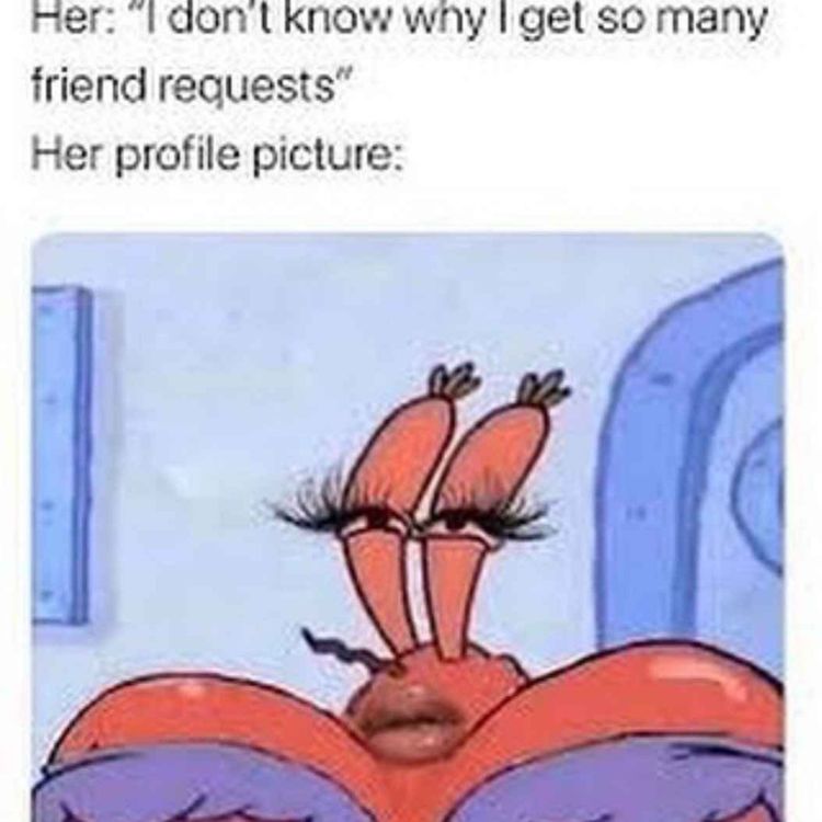 cover art for Chapter 13: Thou Shalt Be Kind For The Likes