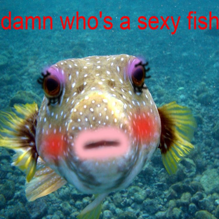 cover art for Chapter 15: Of Course I am Real, The Lord Spoke