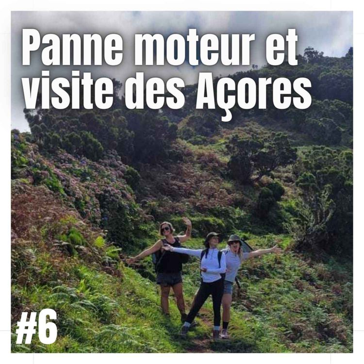 cover art for Panne moteur et visite des Açores
