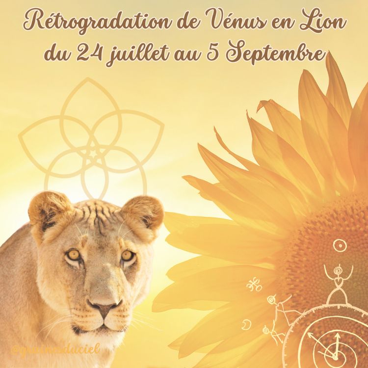 cover art for Vénus Rétrograde en Lion tout l'été 