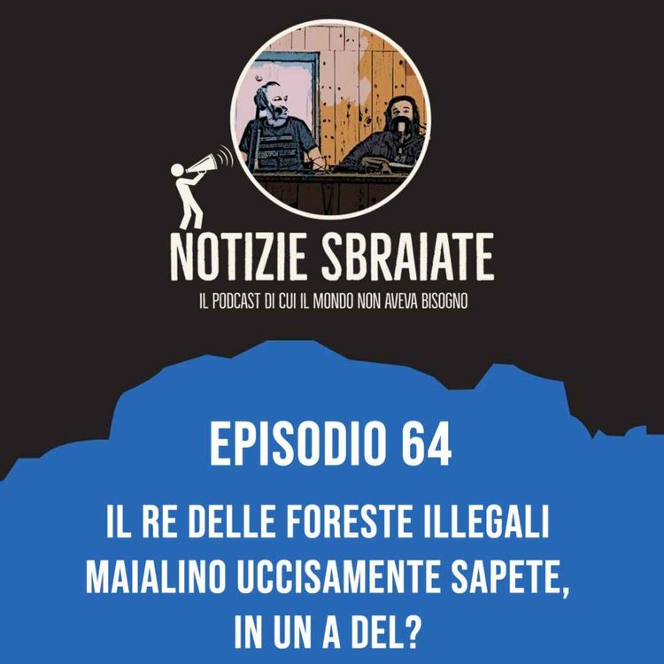 cover art for Episodio 64: Il re delle foreste illegali maialino uccisamente sapete, in un a del?