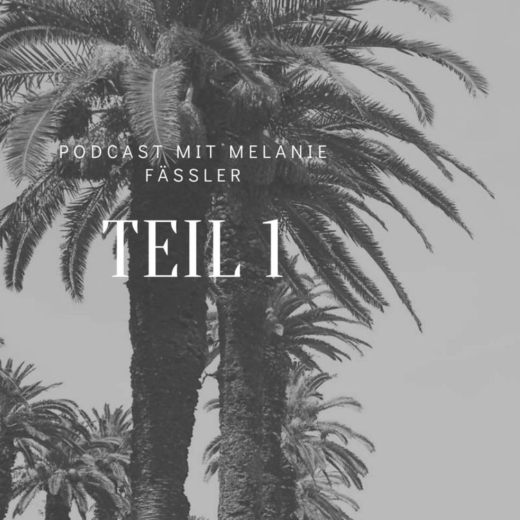 cover art for Gespräch mit Melanie Fässler Teil 1