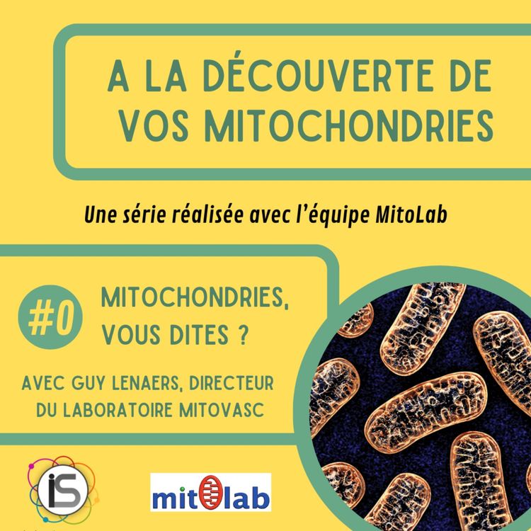 cover art for ADM #0 - Mitochondries vous dites ?