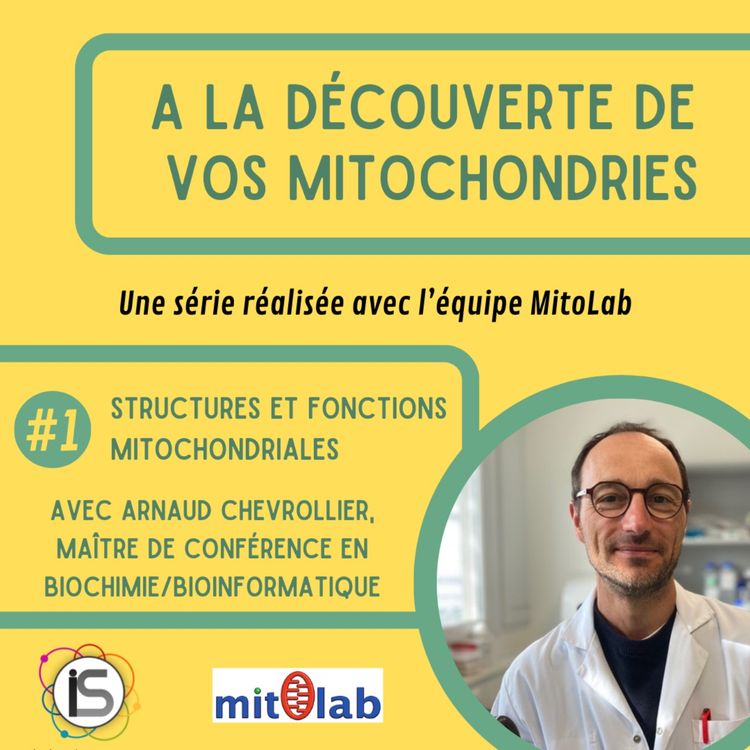 cover art for ADM #1 - Structures et fonctions mitochondriales
