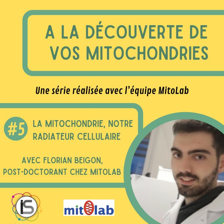 cover art for ADM #5 - La mitochondrie, notre radiateur cellulaire