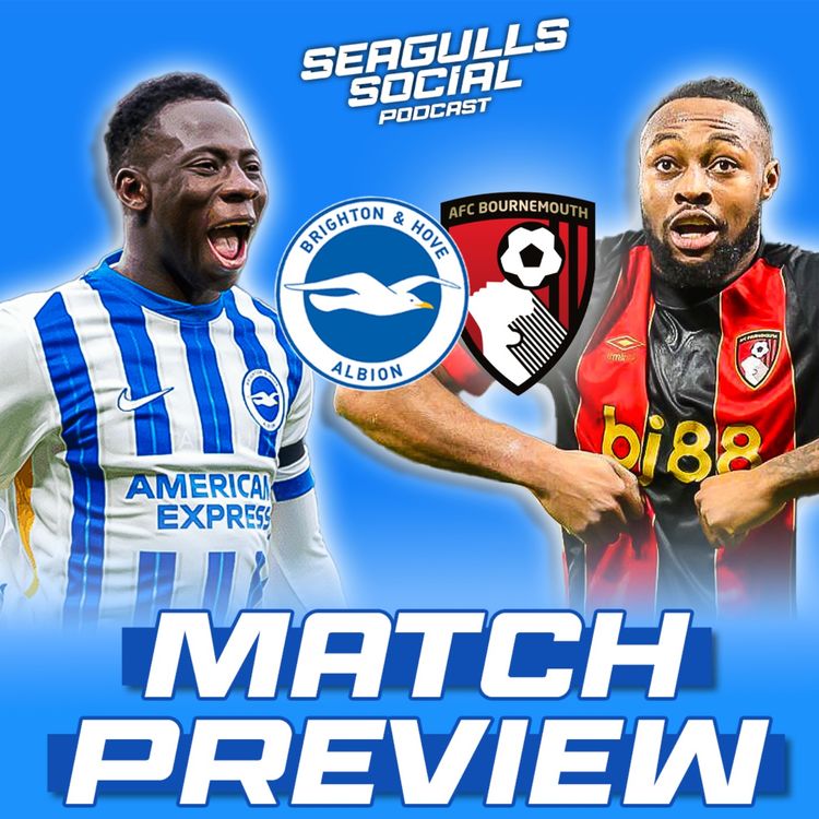 cover art for Will Seagulls Break Bournemouth In Seaside Showdown? | Brighton vs Bournemouth | MATCH PREVIEW
