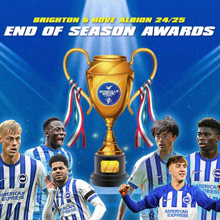 cover art for Seagulls Social Brighton & Hove Albion 2024/25 Season Awards 🏆