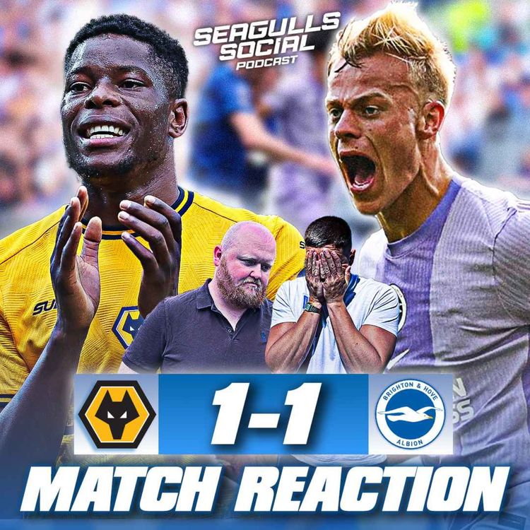 cover art for What The Hecke Happened?! | Wolverhampton Wanderers 1-1 Brighton | MATCH REACTION