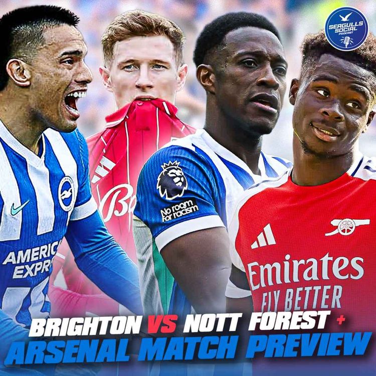 cover art for Seagulls Go Wel Clear! Brighton vs Notts Forest MATCH REACTION + Brighton vs Arsenal PREVIEW