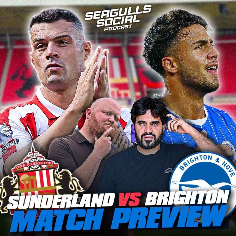 cover art for Will The Seagulls Peck The Black Cats? Sunderland vs Brighton | MATCH PREVIEW