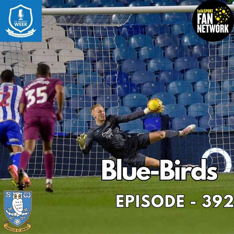 cover art for Blue-Birds