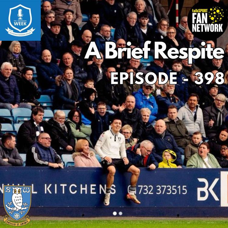 cover art for A Brief Respite