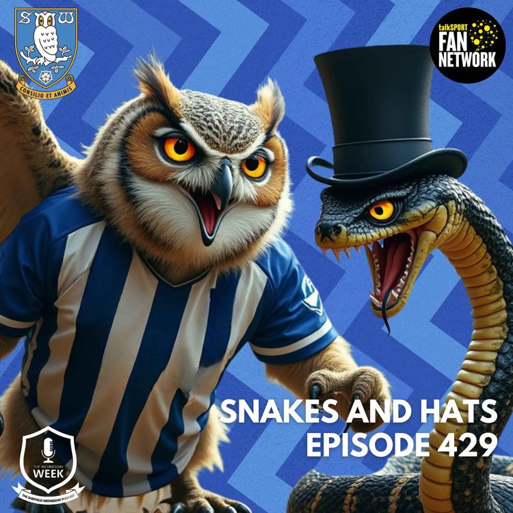 cover art for Snakes and Hats