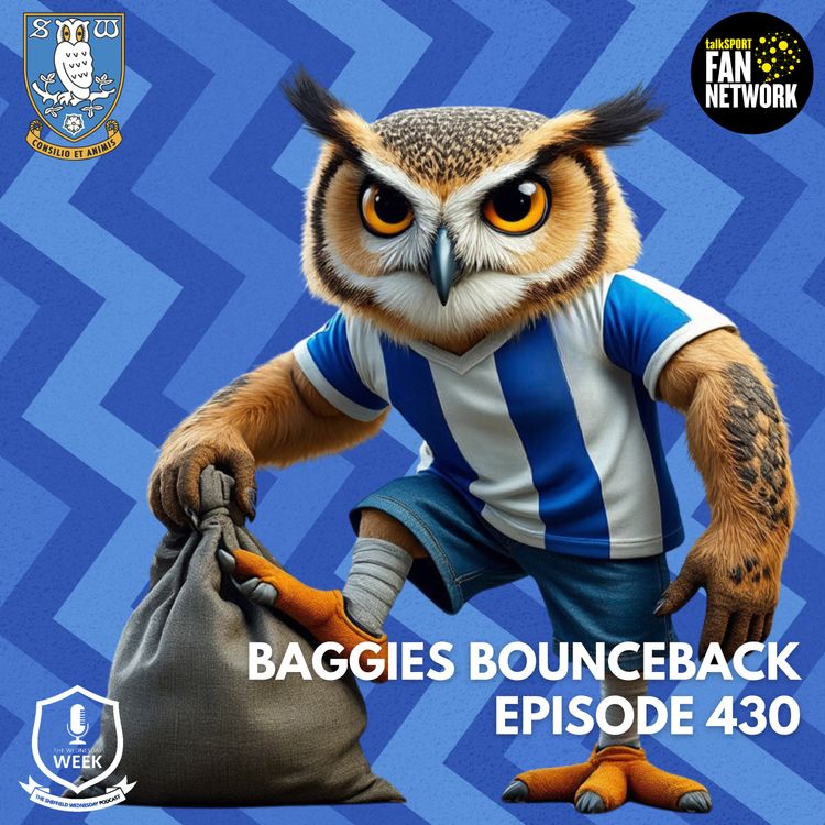 cover art for Baggies Bounceback