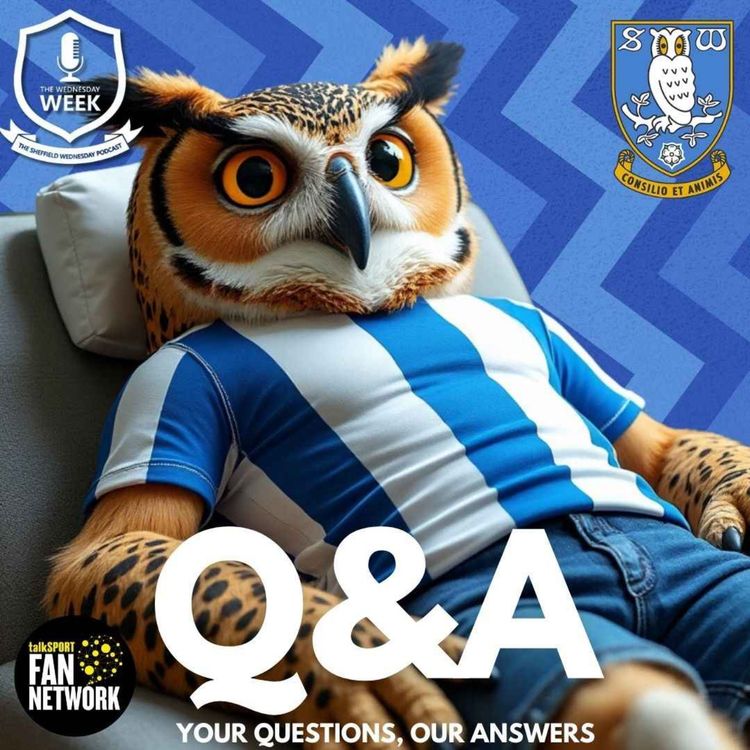 cover art for Questions and Answers 4