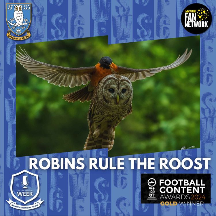cover art for Robins Rule the Roost