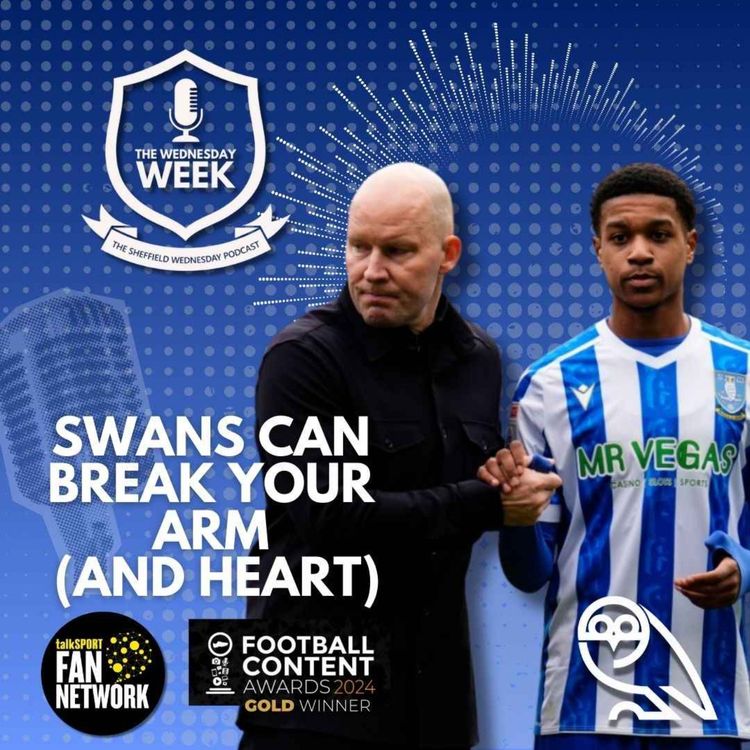 cover art for Swans can Break Your Arm (and heart)