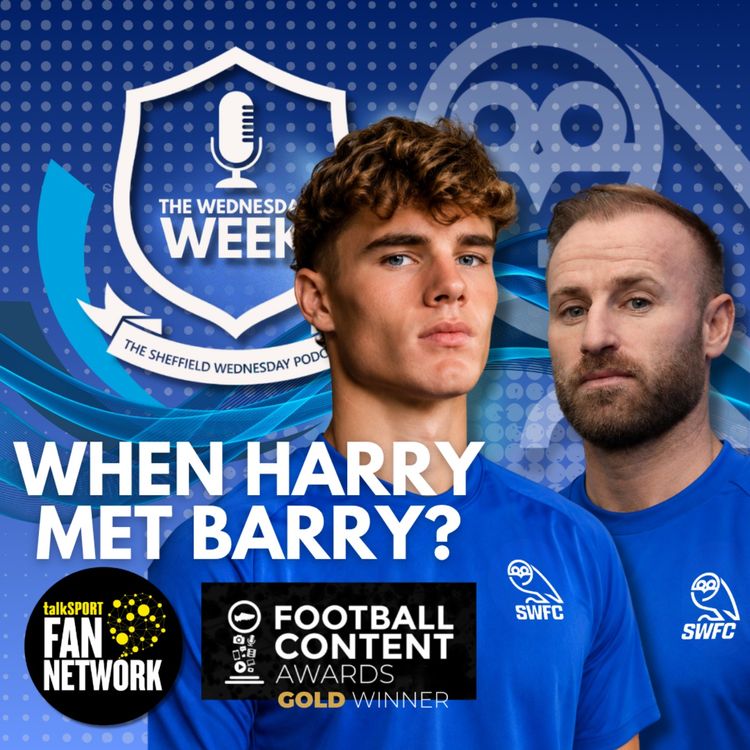 cover art for When Harry Met Barry?