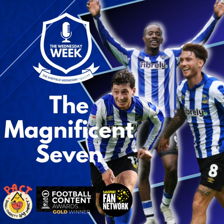 cover art for The Magnificent Seven