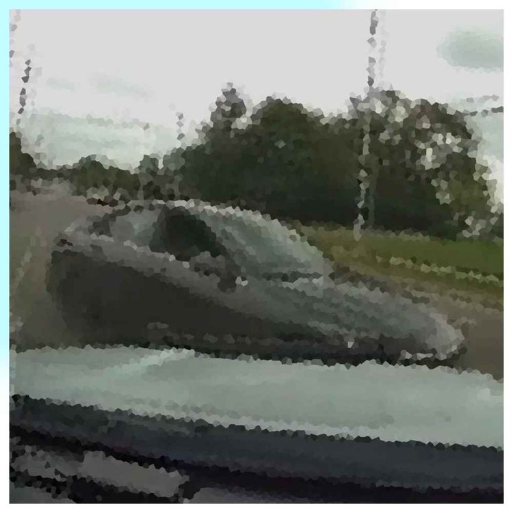 cover art for 61 - Catching a Thief