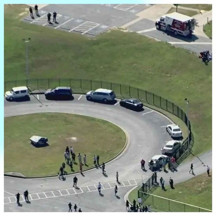 cover art for 82 - Apalachee High School