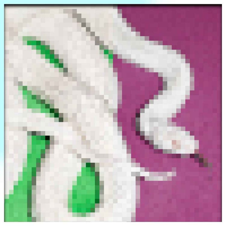 cover art for 126 - Deftones - private music Review